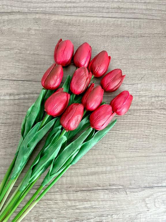 Gumi tulipán piros 1 szál 